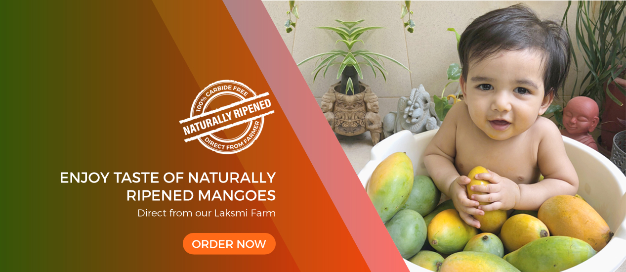 Lakshmi Farm Hiriyur