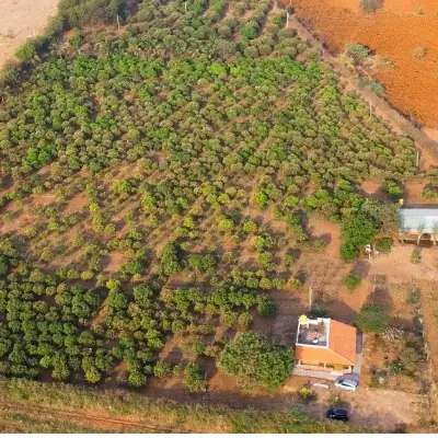 Aerial view of our farm